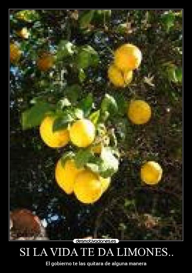 SI LA VIDA TE DA LIMONES.. - El gobierno te las quitara de alguna manera