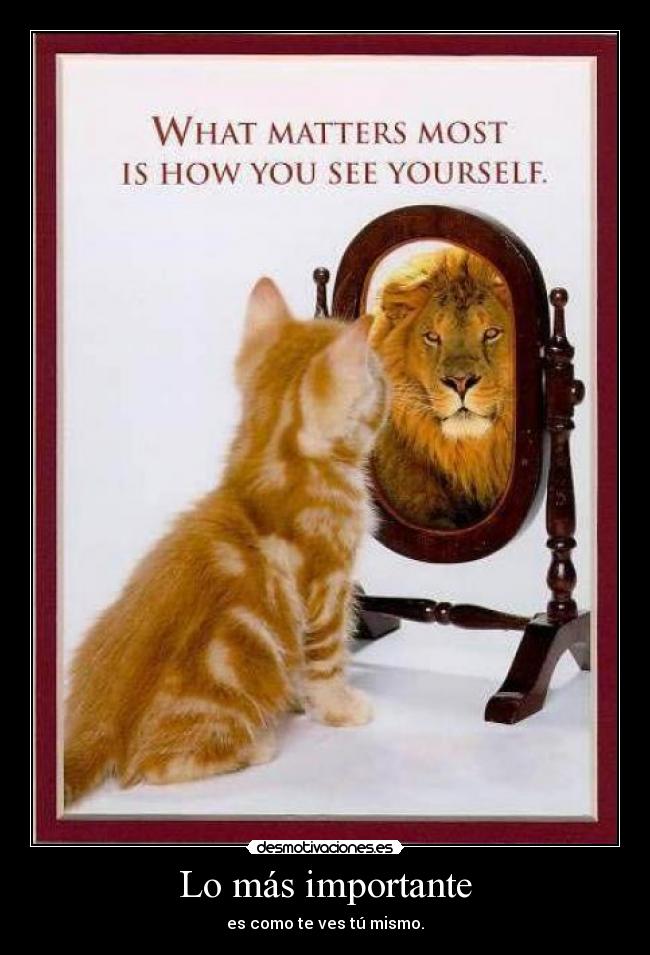 Lo más importante -