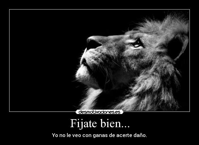 Fijate bien... - Yo no le veo con ganas de acerte daño.