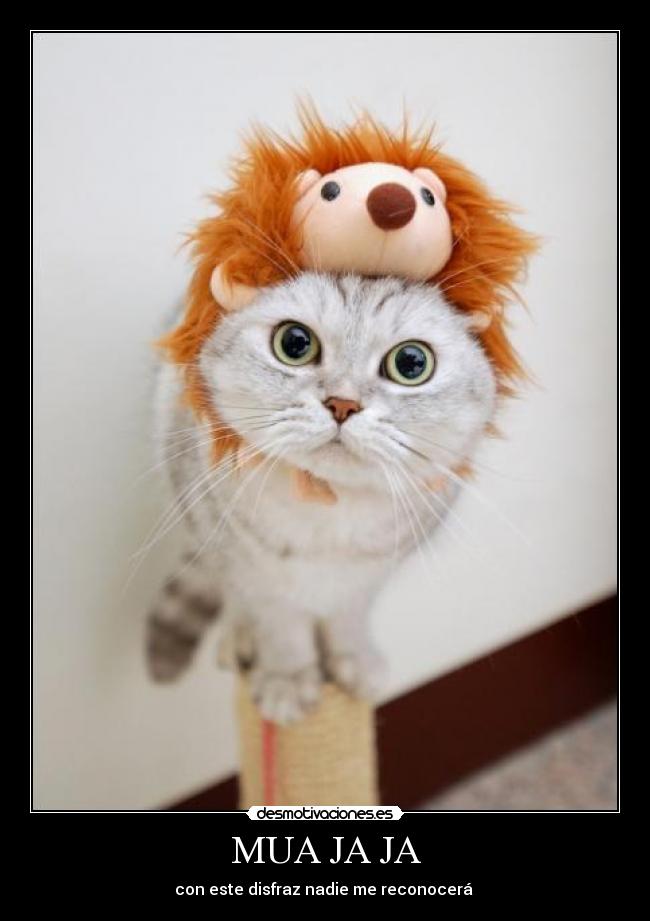 carteles disfraz-malvado-nadie desmotivaciones