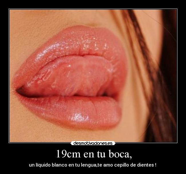 19cm en tu boca, - 