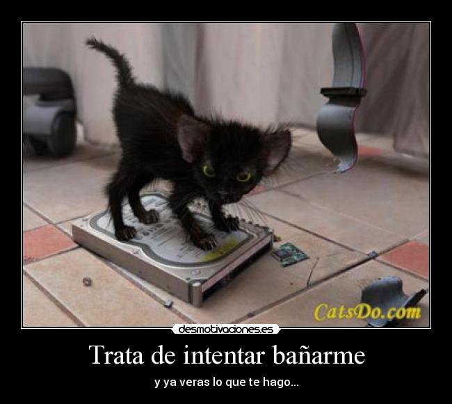 Trata de intentar bañarme - 