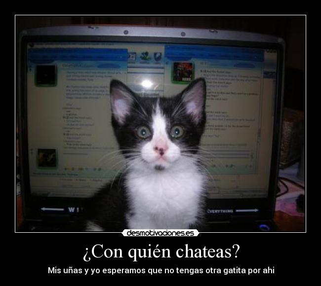 ¿Con quién chateas? -