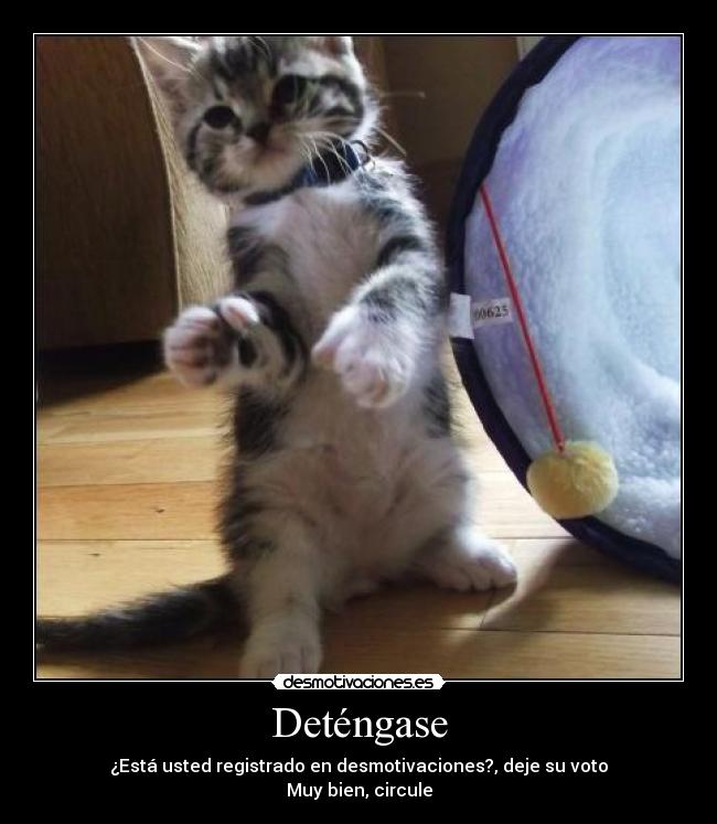 Deténgase - ¿Está usted registrado en desmotivaciones?, deje su voto
Muy bien, circule