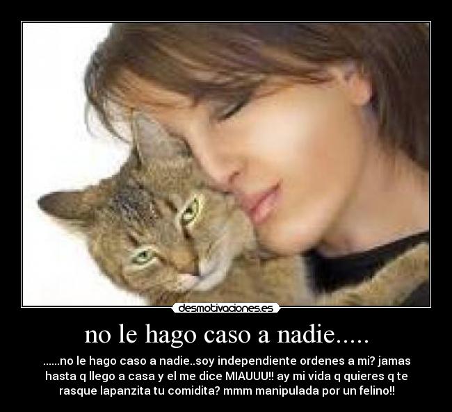 no le hago caso a nadie..... - ......no le hago caso a nadie..soy independiente ordenes a mi? jamas
hasta q llego a casa y el me dice MIAUUU!! ay mi vida q quieres q te
rasque lapanzita tu comidita? mmm manipulada por un felino!!
