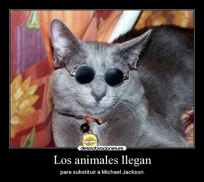 Los animales llegan - para substituir a Michael Jackson.