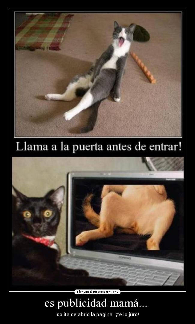 es publicidad mamá... - solita se abrio la pagina ¡te lo juro!