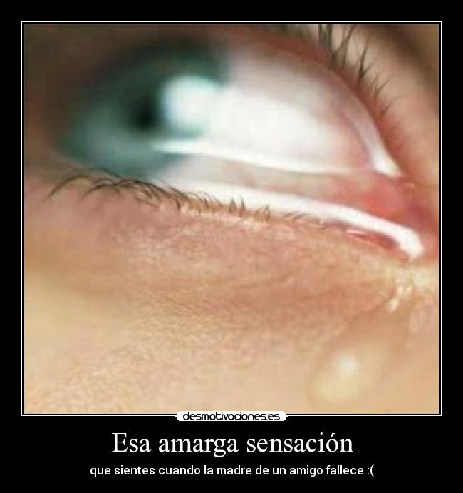 carteles lianer desmotivaciones