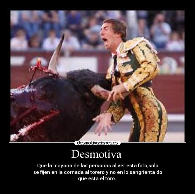 Desmotiva - Que la mayoría de las personas al ver esta foto,solo
se fijen en la cornada al torero y no en lo sangrienta do
que esta el toro.