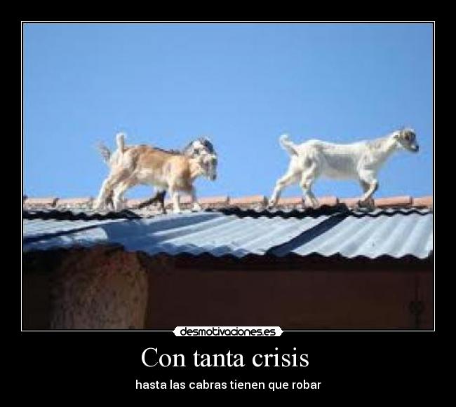 carteles raul11 desmotivaciones