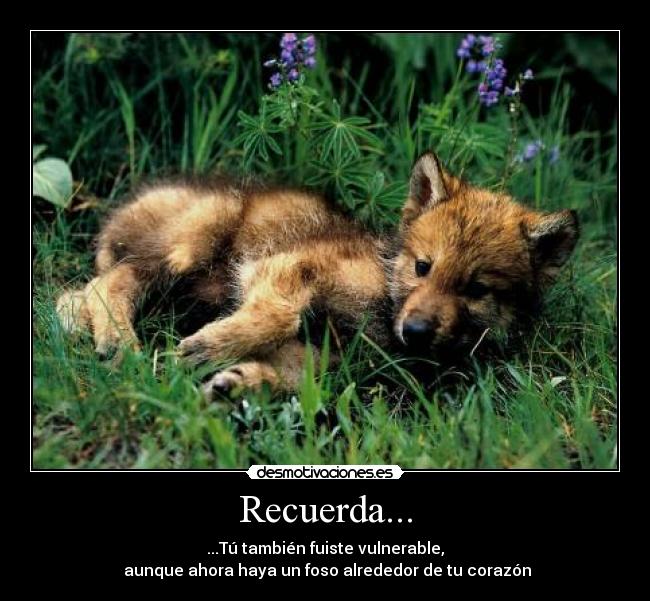 Recuerda... - ...Tú también fuiste vulnerable,
aunque ahora haya un foso alrededor de tu corazón