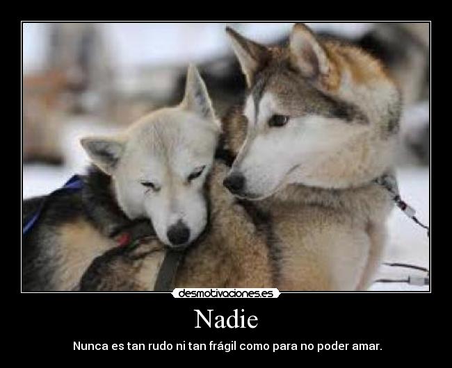 Nadie - 