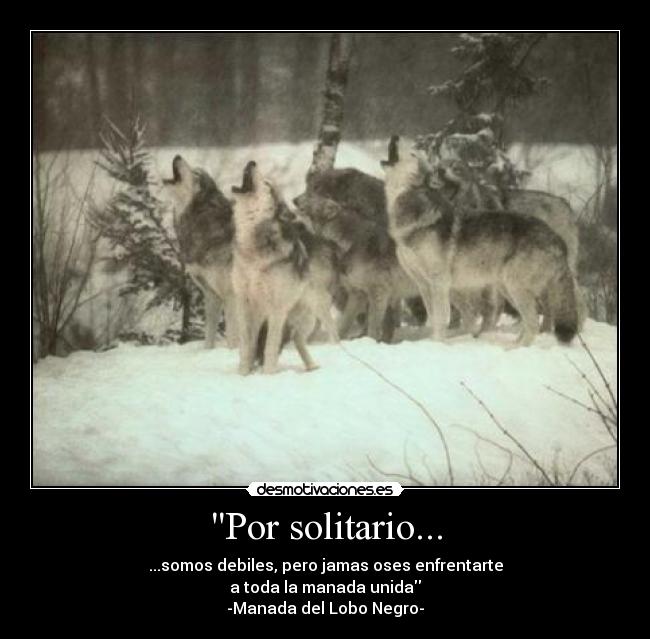 Por solitario... - 