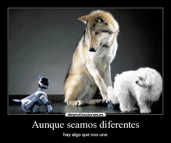 Aunque seamos diferentes - hay algo que nos une.
