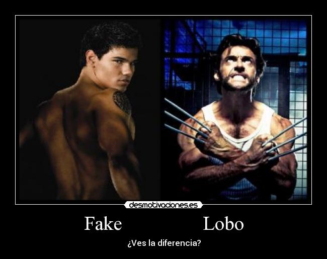 Fake                Lobo - ¿Ves la diferencia?