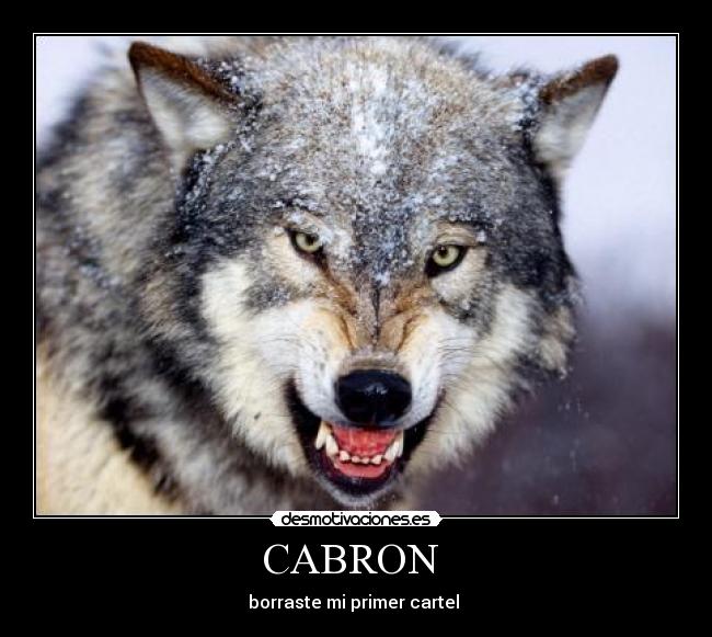 CABRON - borraste mi primer cartel