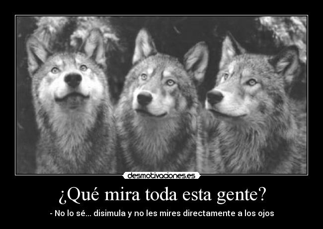 ¿Qué mira toda esta gente? -