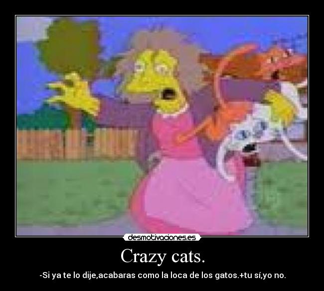 Crazy cats. - -Si ya te lo dije,acabaras como la loca de los gatos.+tu sí,yo no.