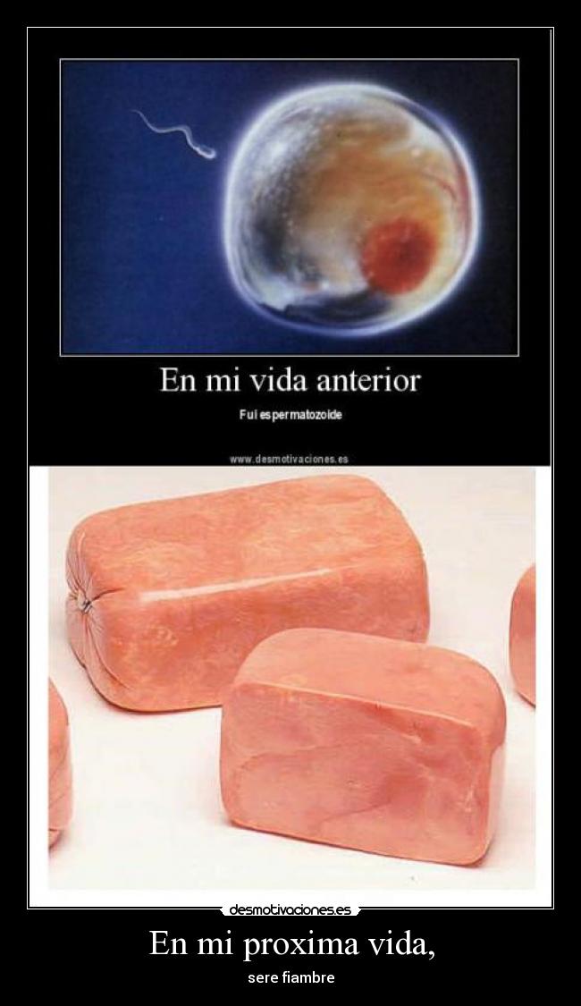 En mi proxima vida, - sere fiambre