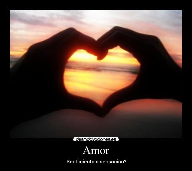 Amor - Sentimiento o sensación?