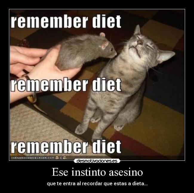 Ese instinto asesino - que te entra al recordar que estas a dieta...