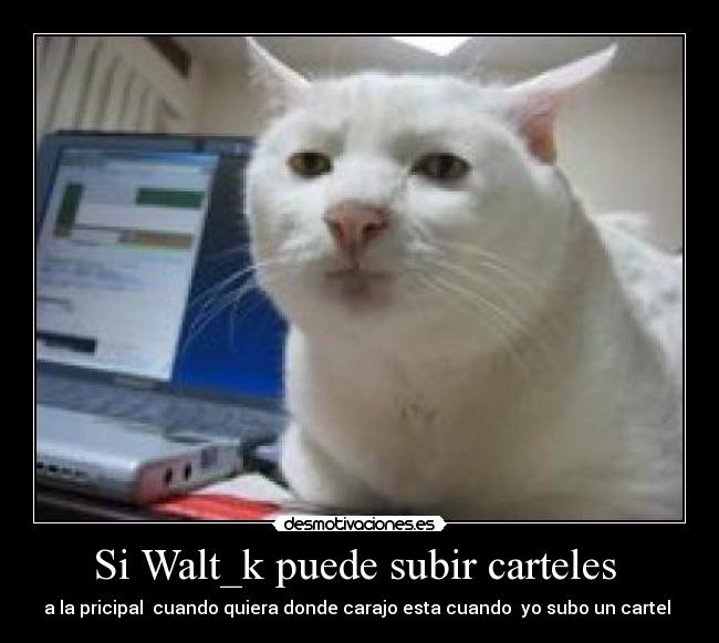 Si Walt_k puede subir carteles - a la pricipal cuando quiera donde carajo esta cuando yo subo un cartel