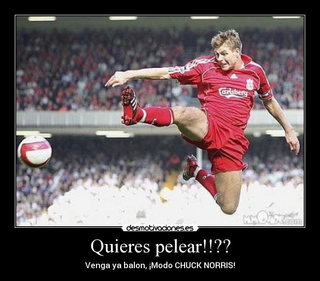 Quieres pelear!!?? - 