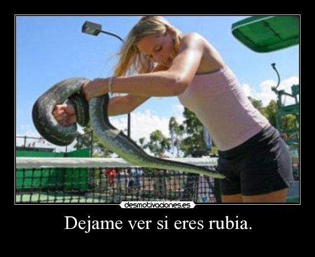 Dejame ver si eres rubia. - 