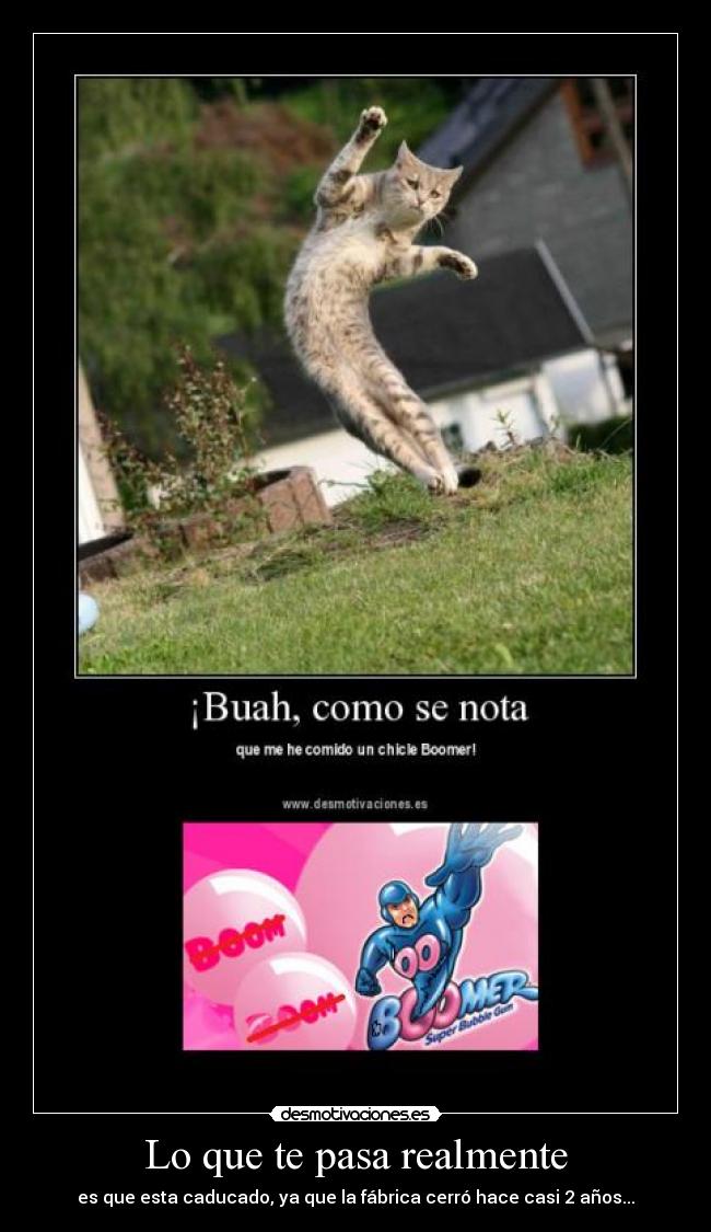 Lo que te pasa realmente - es que esta caducado, ya que la fábrica cerró hace casi 2 años...