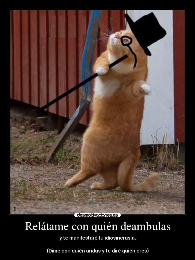 Relátame con quién deambulas - y te manifestaré tu idiosincrasia.

(Dime con quién andas y te diré quién eres)