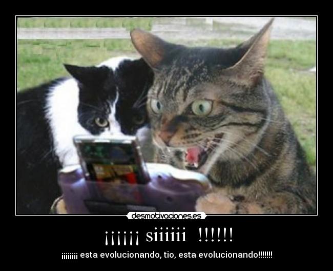 ¡¡¡¡¡¡ siiiiii  !!!!!! - ¡¡¡¡¡¡¡¡ esta evolucionando, tio, esta evolucionando!!!!!!!
