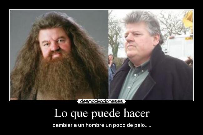 carteles hagrid desmotivaciones