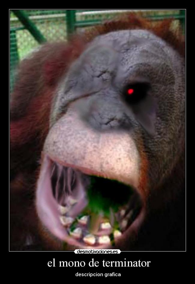 carteles ledejma desmotivaciones