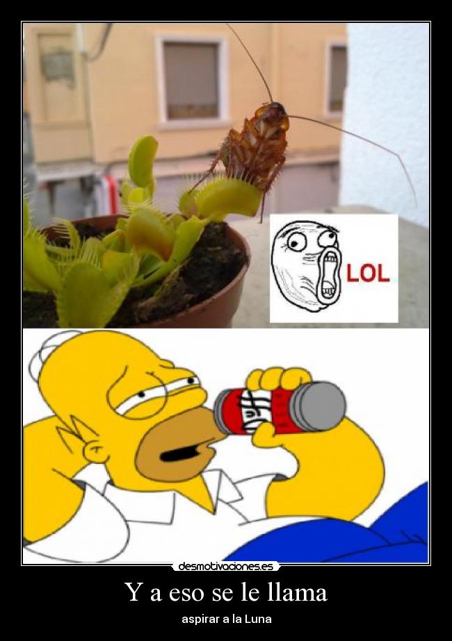 carteles cucaracha homer desmotivaciones