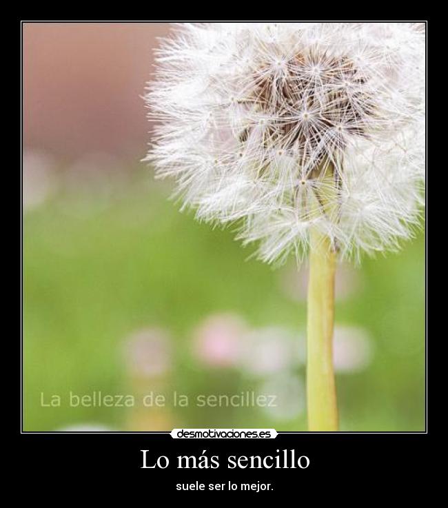 Lo más sencillo - suele ser lo mejor.