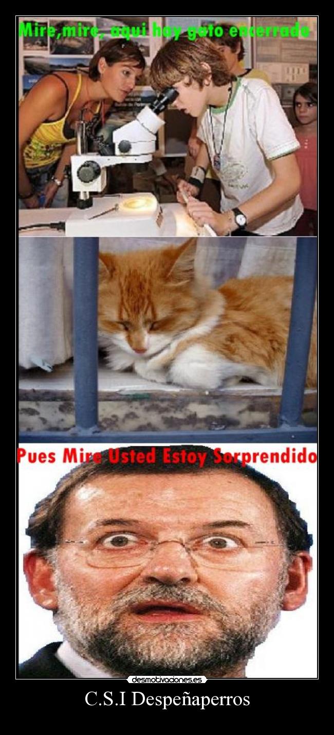 C.S.I Despeñaperros -