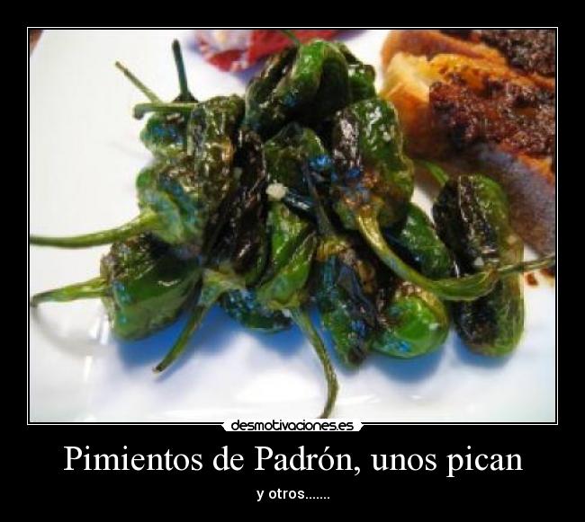 Pimientos de Padrón, unos pican - y otros.......