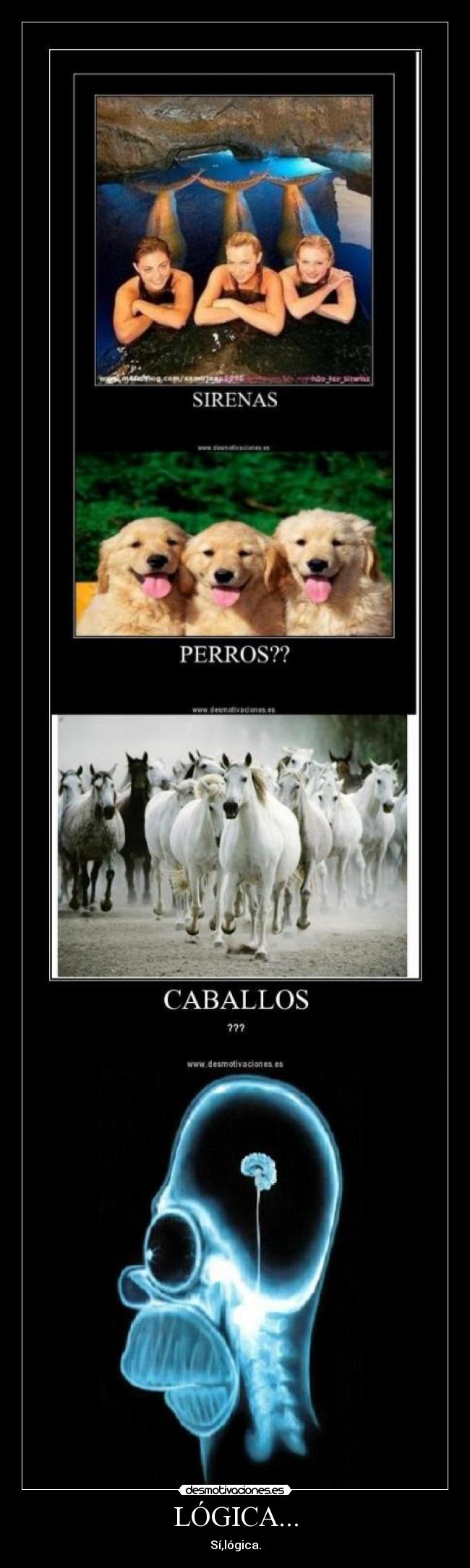 LÓGICA... - Sí,lógica.