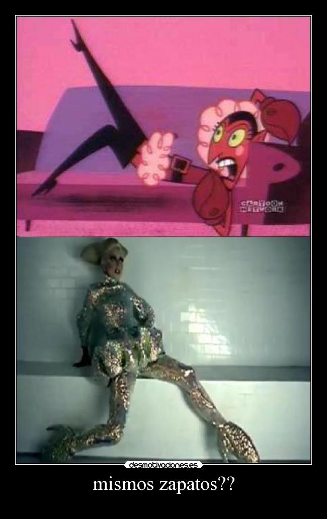 mismos zapatos?? - 