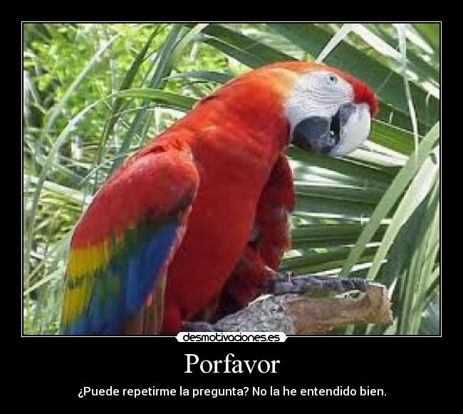 Porfavor - 