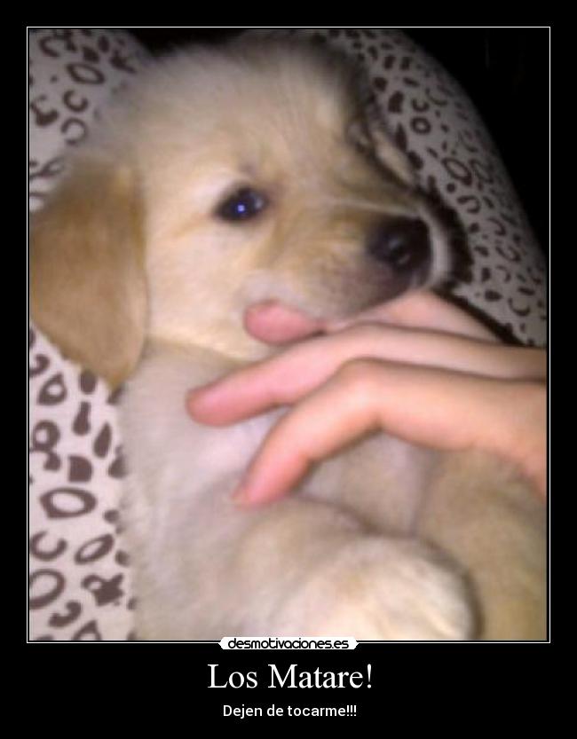 Los Matare! - 