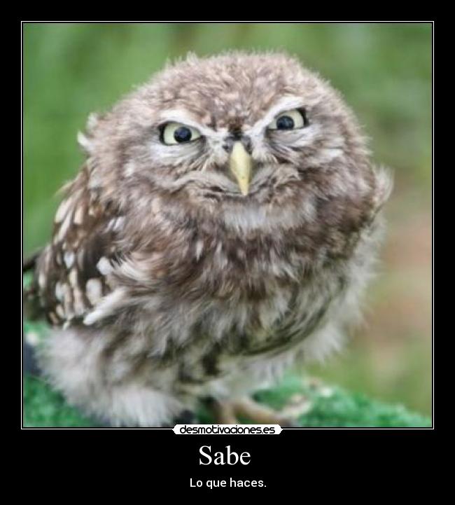 Sabe - Lo que haces.