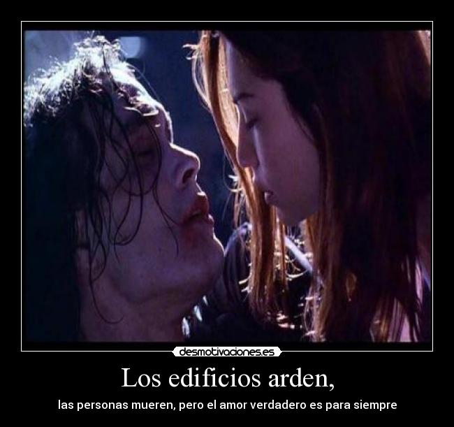 carteles cuervo edificios personas amor desmotivaciones