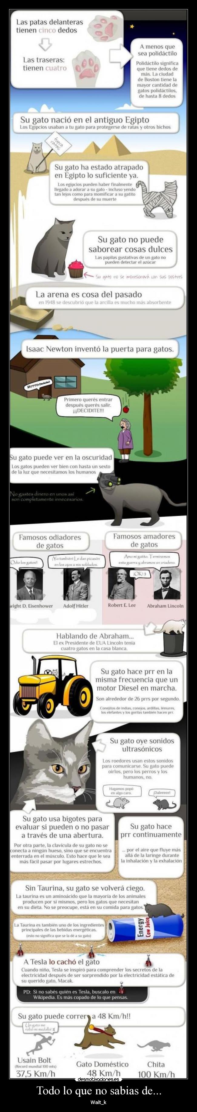 Todo lo que no sabias de... - 