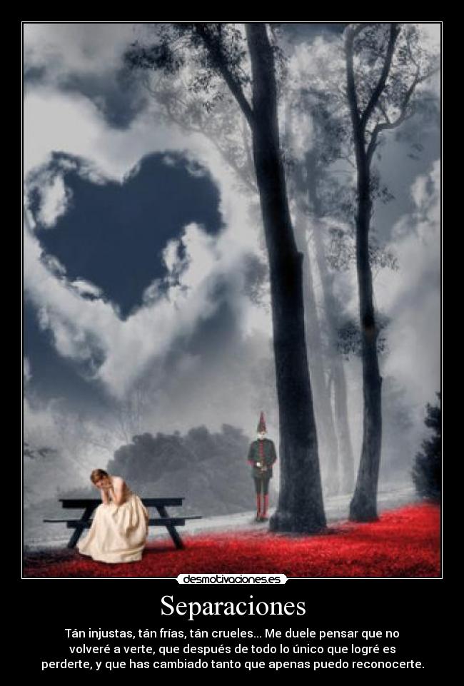 Separaciones - Tán injustas, tán frías, tán crueles... Me duele pensar que no
volveré a verte, que después de todo lo único que logré es
perderte, y que has cambiado tanto que apenas puedo reconocerte.