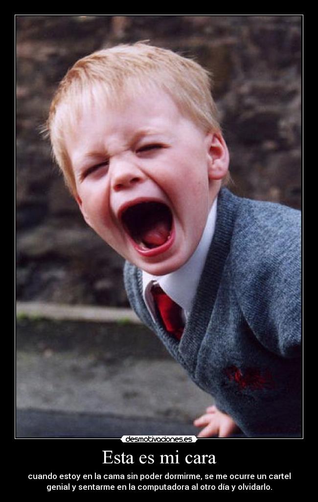 Esta es mi cara - cuando estoy en la cama sin poder dormirme, se me ocurre un cartel
genial y sentarme en la computadora al otro día y olvidarlo.