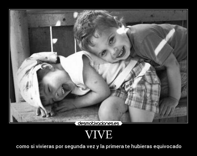 VIVE -
