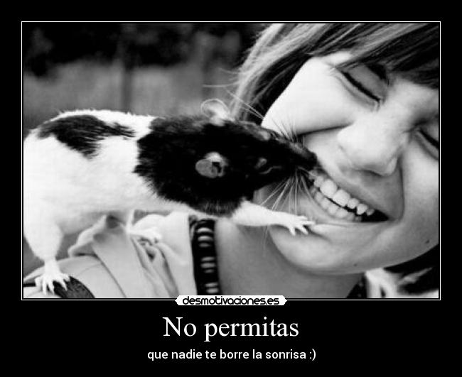 No permitas - 