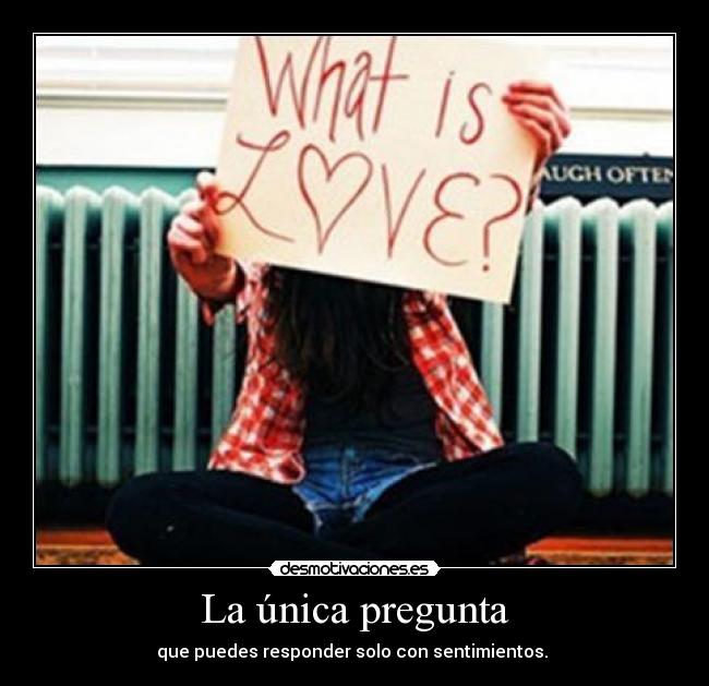 La única pregunta - 