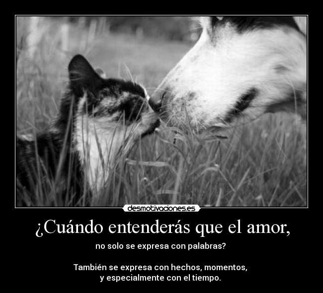 ¿Cuándo entenderás que el amor, - 